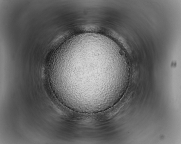 X0000100190161200806131215