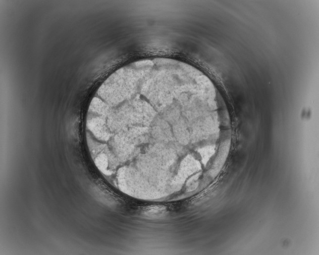 X0000100190162200806131215