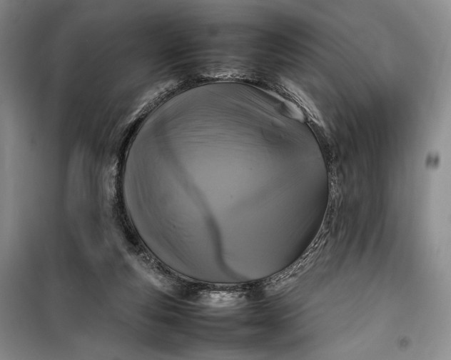 X0000100190163200806131215