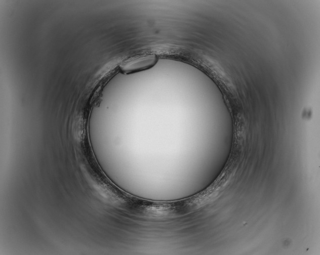 X0000100190164200806131215