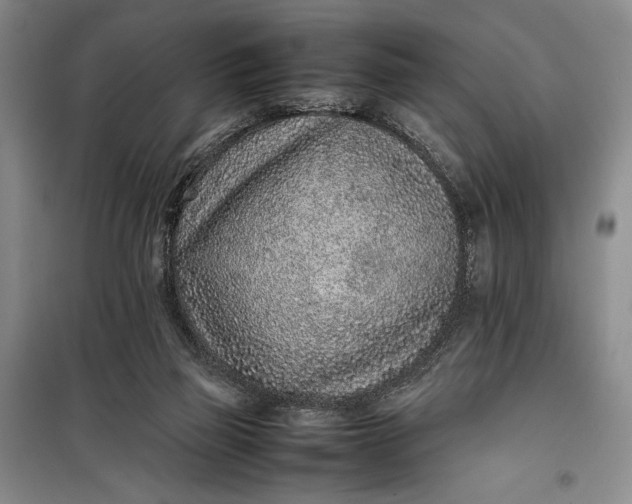 X0000100190165200806131215