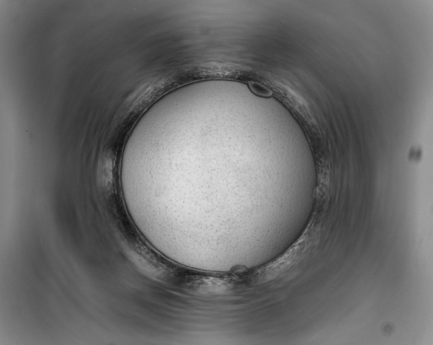 X0000100190166200806131215