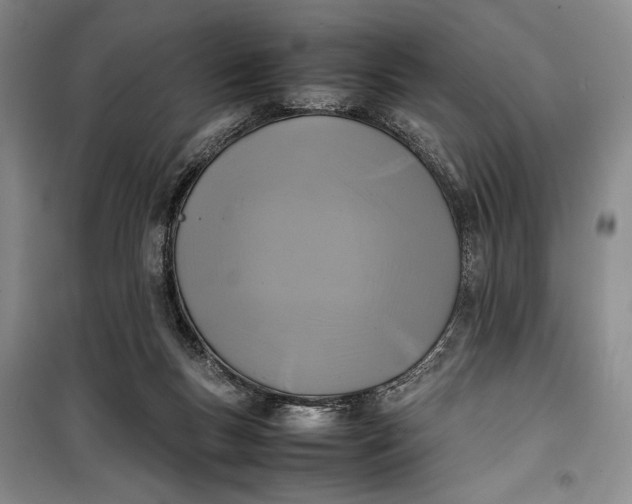 X0000100190167200806131215