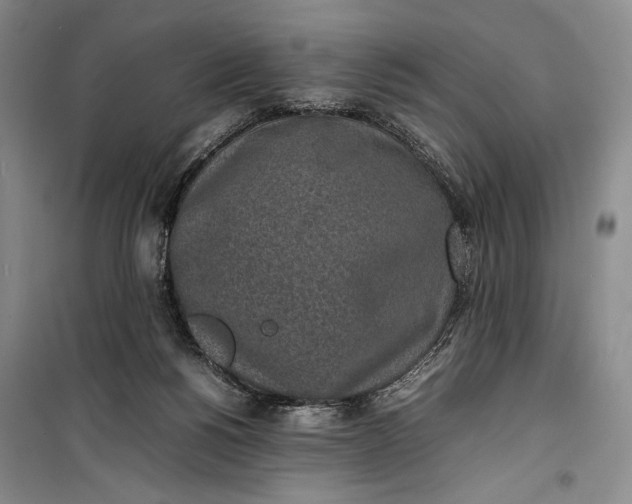 X0000100190168200806131215