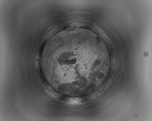 X0000100190169200806131215