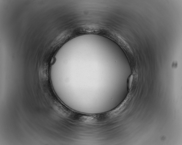 X0000100190170200806131215