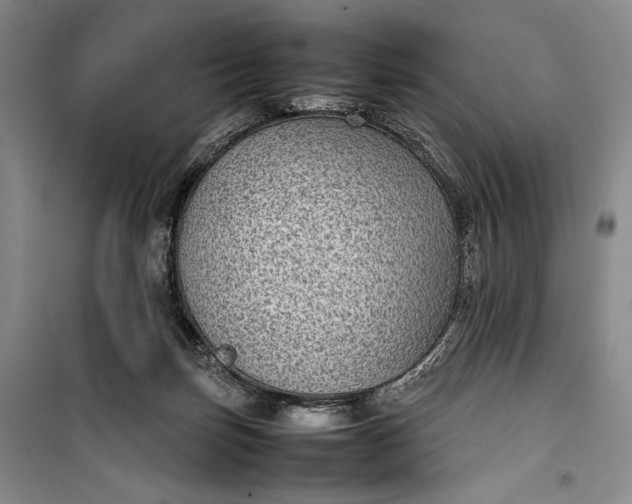 X0000100190171200806131215