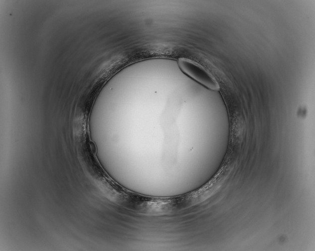 X0000100190172200806131215