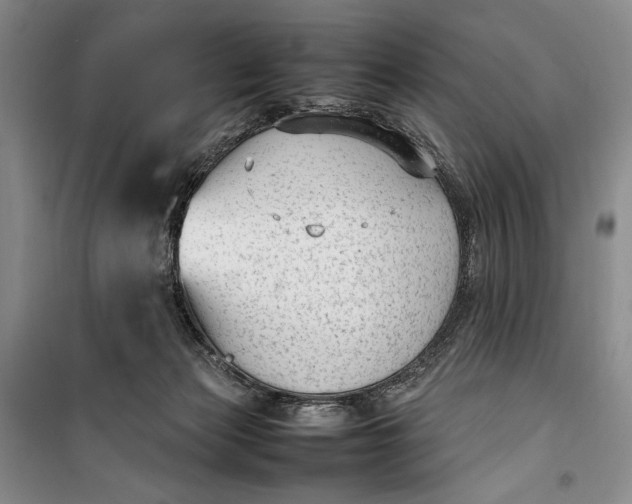 X0000100190173200806131215