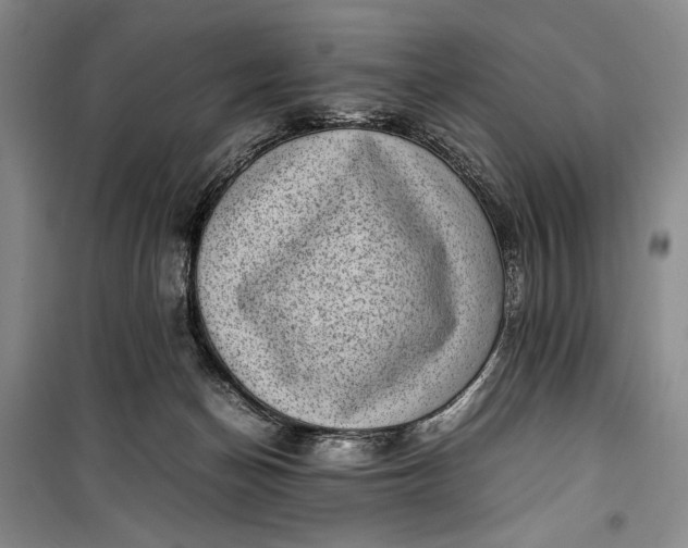 X0000100190174200806131215