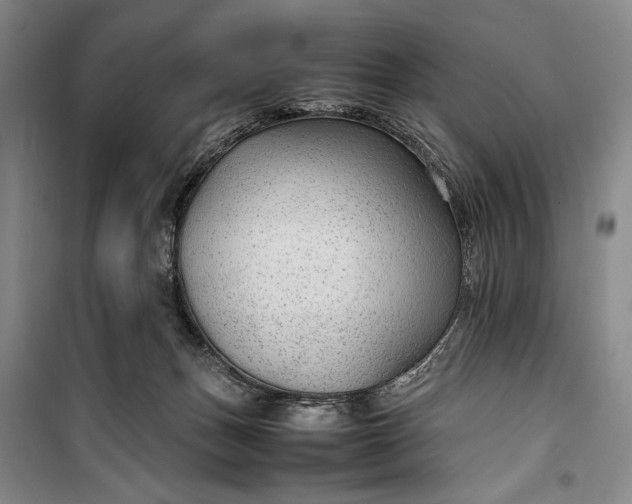 X0000100190175200806131215