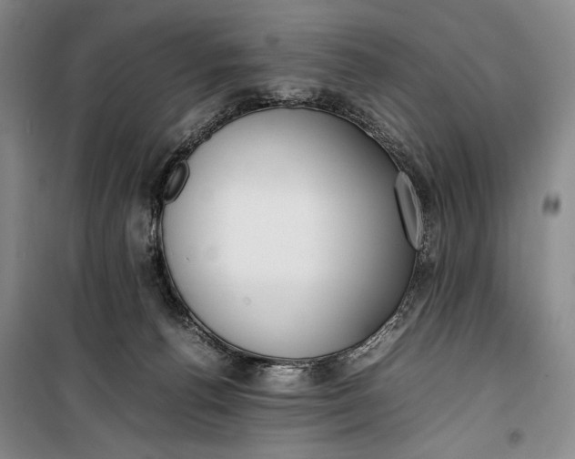 X0000100190176200806131215