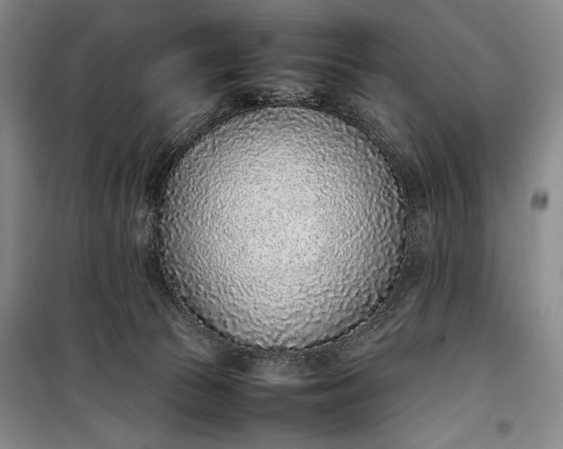 X0000100190177200806131215