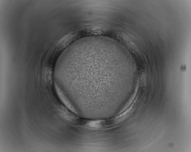 X0000100190178200806131215