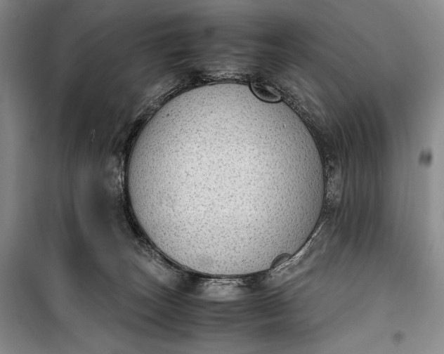 X0000100190179200806131215