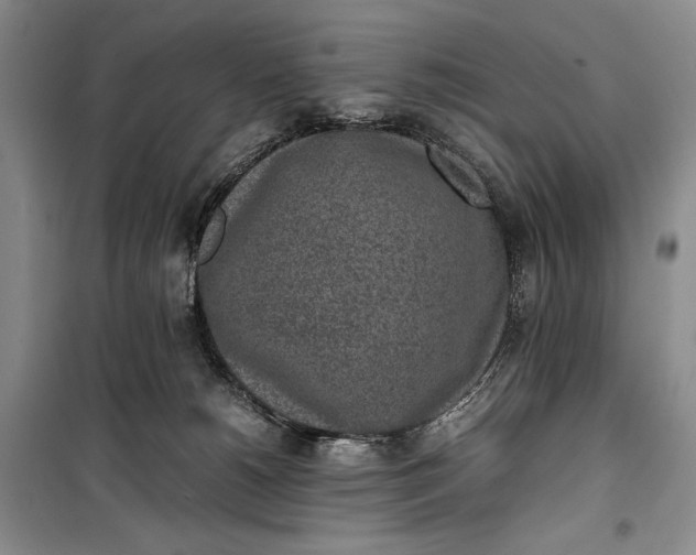 X0000100190180200806131215