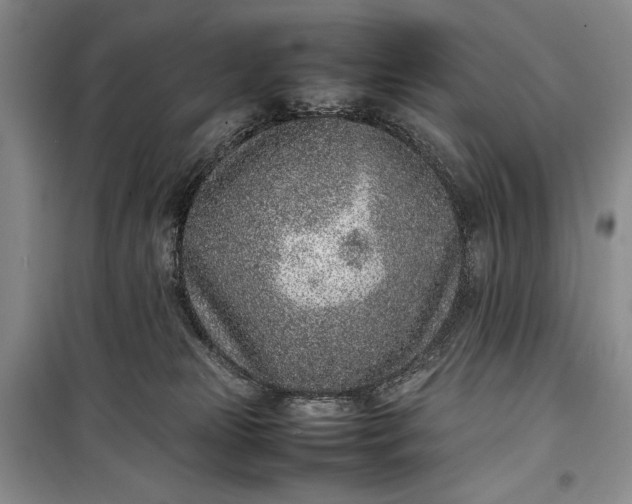 X0000100190181200806131216