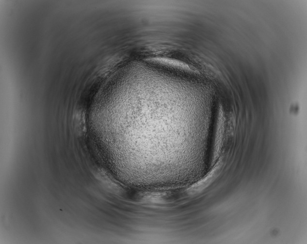 X0000100190182200806131216