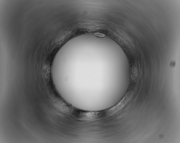 X0000100190184200806131216