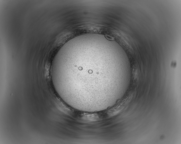 X0000100190185200806131216