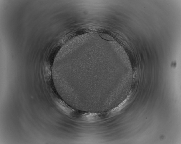 X0000100190186200806131216