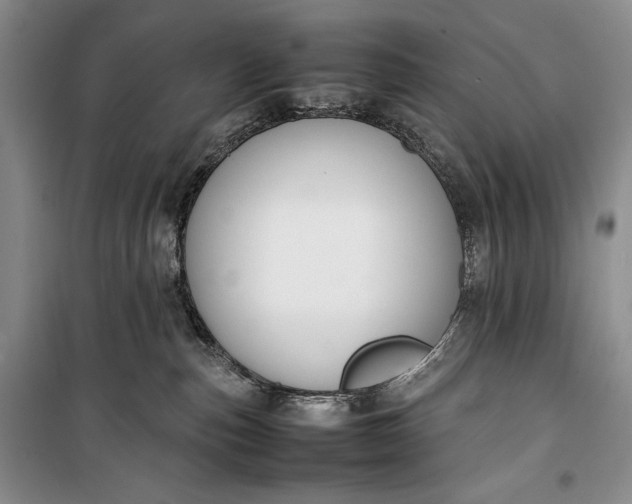 X0000100190187200806131216