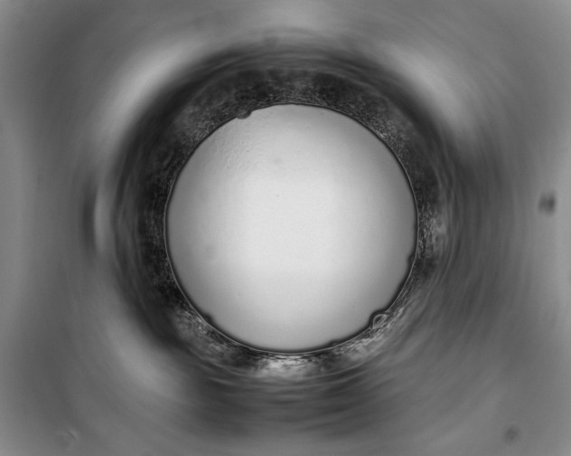 X0000100190189200806131216