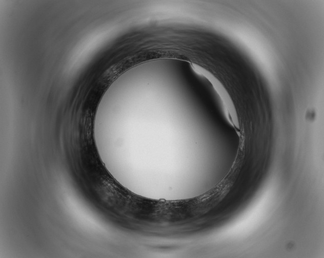 X0000100190190200806131216