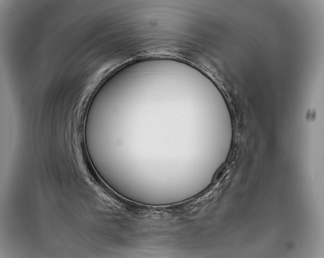 X0000100190193200806131215