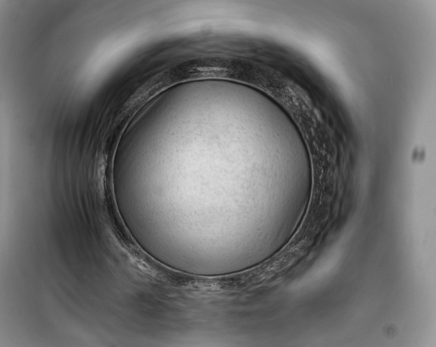 X0000100190194200806131215