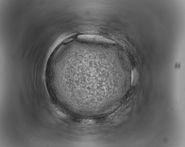 X0000100190195200806131215