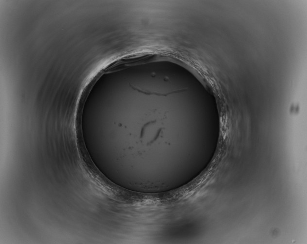 X0000100190196200806131215