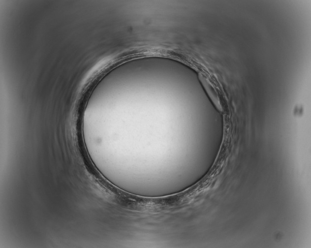 X0000100190197200806131215