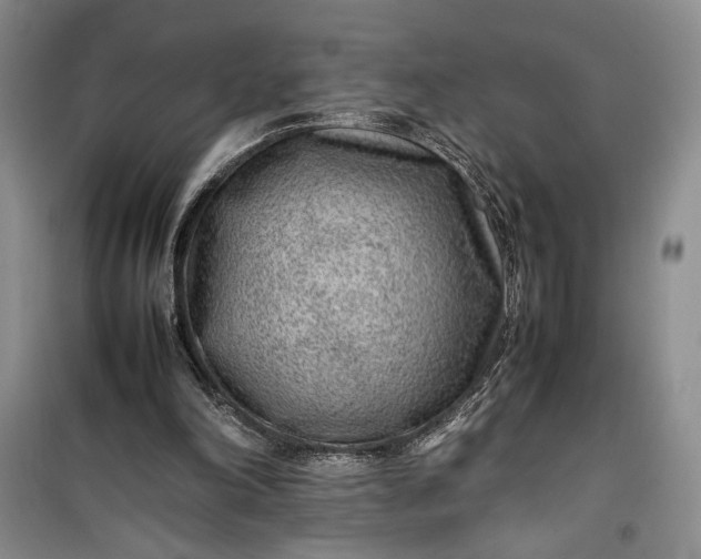 X0000100190198200806131215