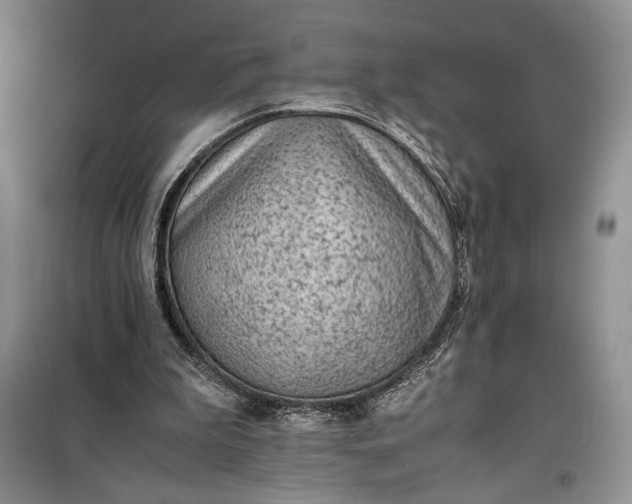 X0000100190199200806131215