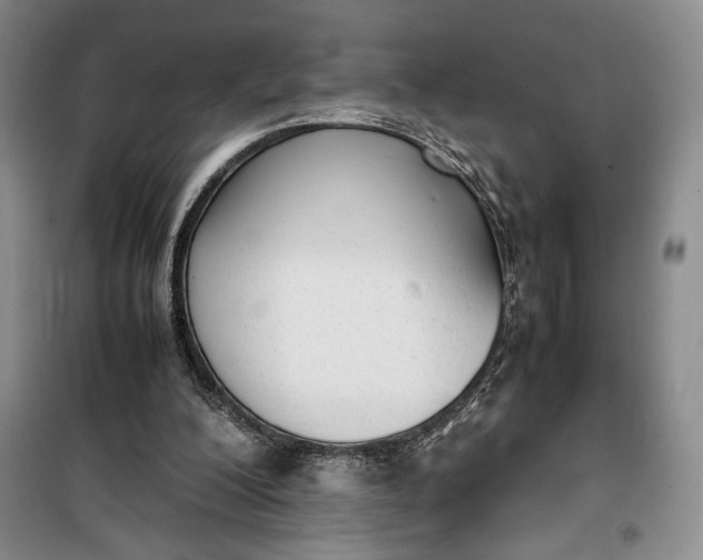 X0000100190200200806131215