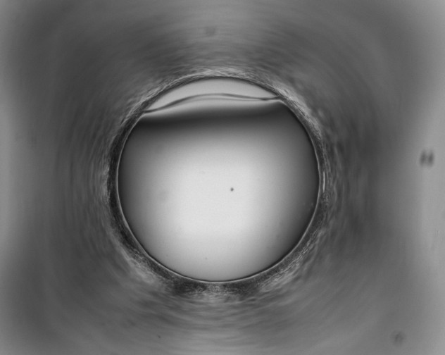 X0000100190201200806131215