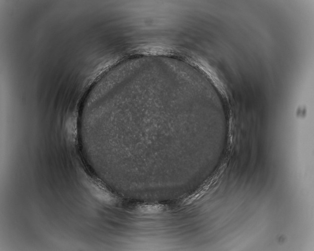 X0000100190202200806131215