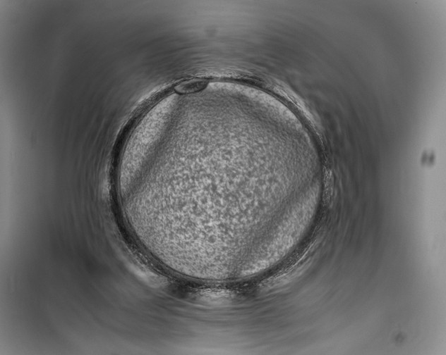 X0000100190203200806131215