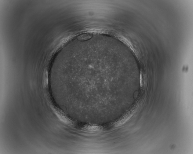 X0000100190205200806131215