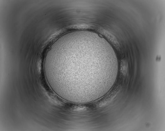 X0000100190206200806131215