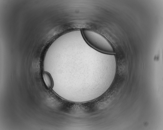 X0000100190207200806131215