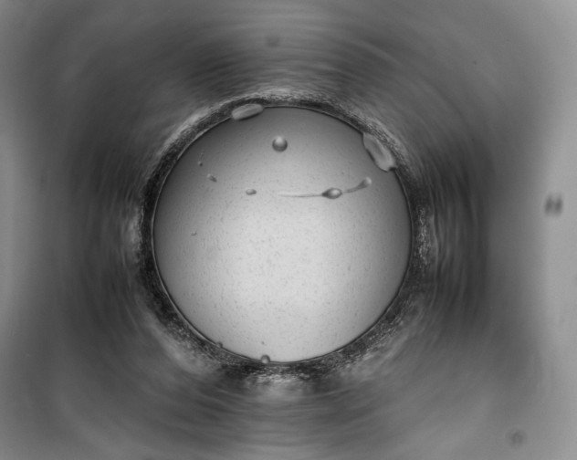 X0000100190208200806131215