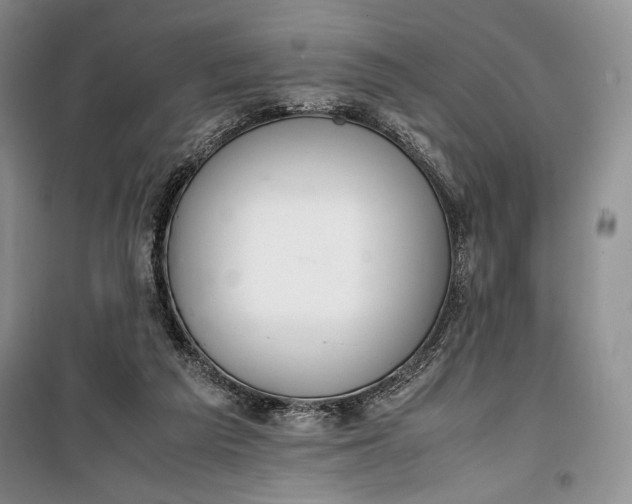 X0000100190209200806131215