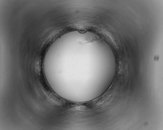 X0000100190210200806131215