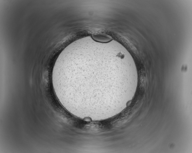 X0000100190211200806131215