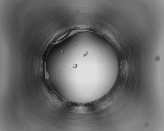 X0000100190212200806131215