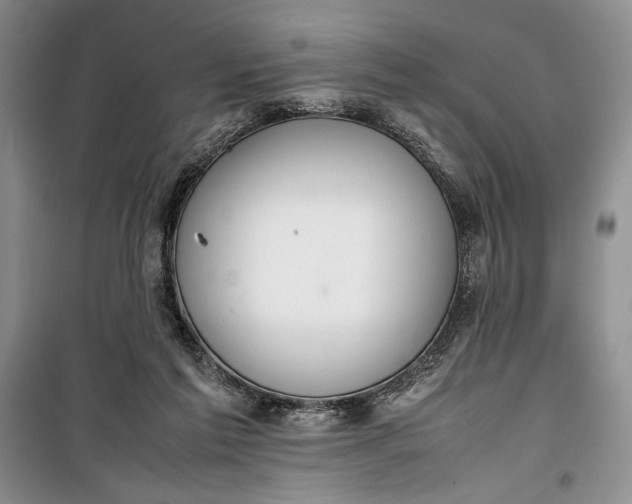 X0000100190213200806131215