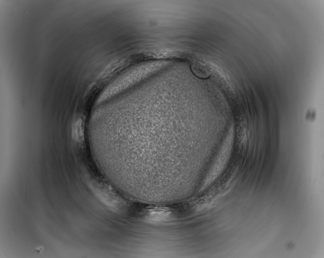 X0000100190214200806131215