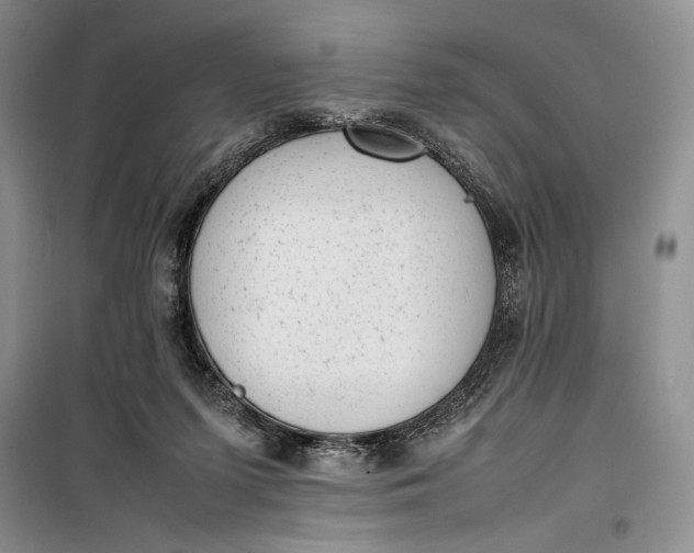 X0000100190215200806131215